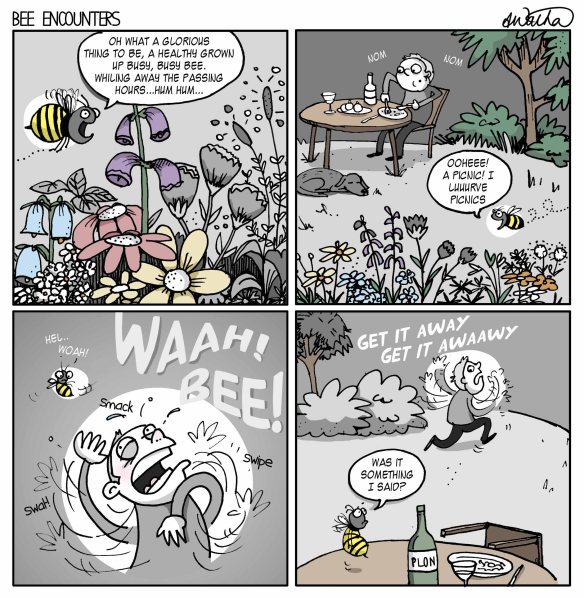 bee encounters